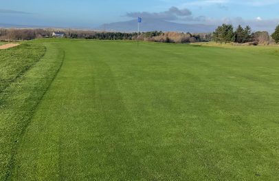 A Fresh Cut For Top Greens